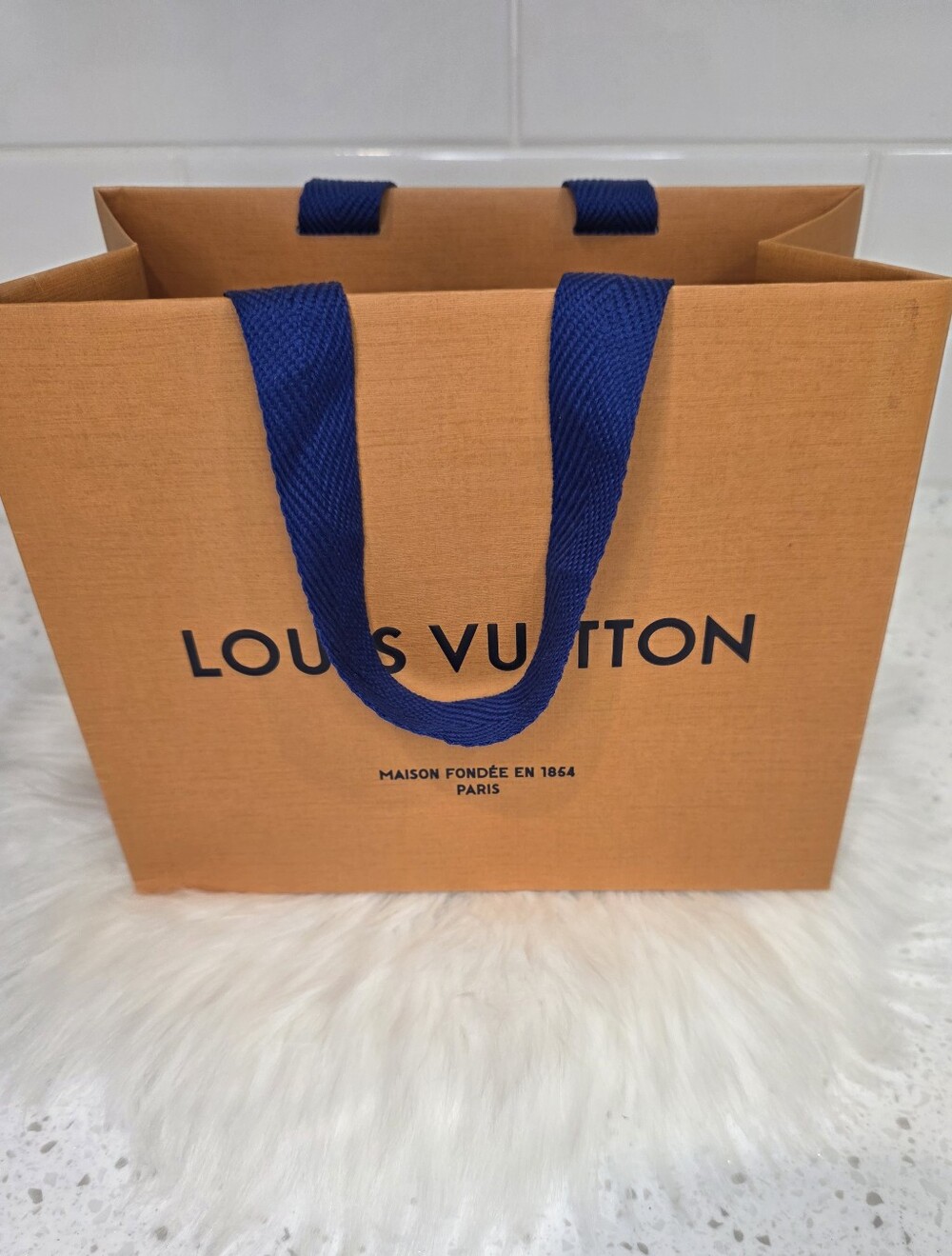 Louis Vuitton Gift Bag